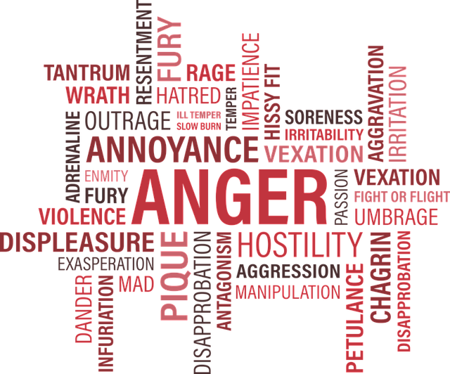 anger-awareness-week-defying-mental-illness